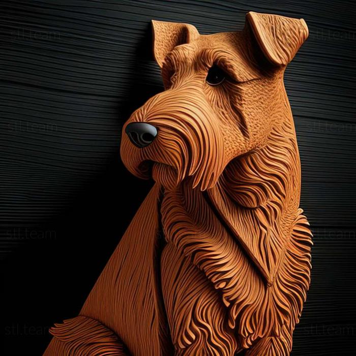 Animals Welsh Terrier dog